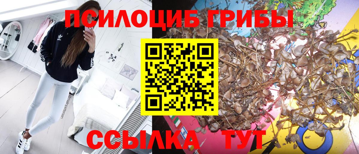 Кисловодск  дарнет шоп  Вход с VPN  Псилоцибиновые грибы Psilocybine cubensis  Псилоцибиновые грибы MAGIC MUSHROOMS 