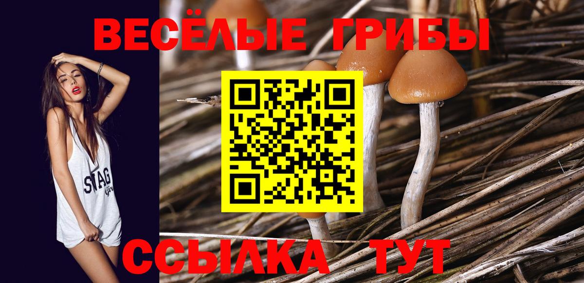 Галлюциногенные грибы Cubensis Кисловодск